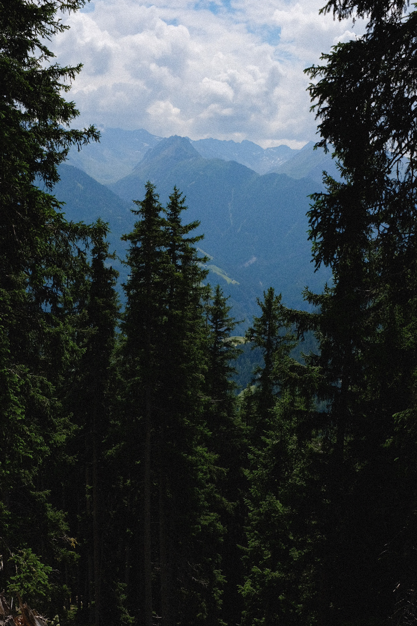 768B7CE2-FD8A-4496-91AF-B156541E7122-1087-00000049672CBC1E