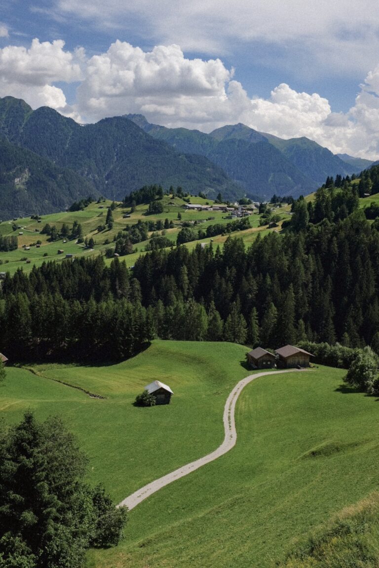 B9DA07CF-4B49-4F34-A651-607B3C99D7BF-436-00000003933222F0